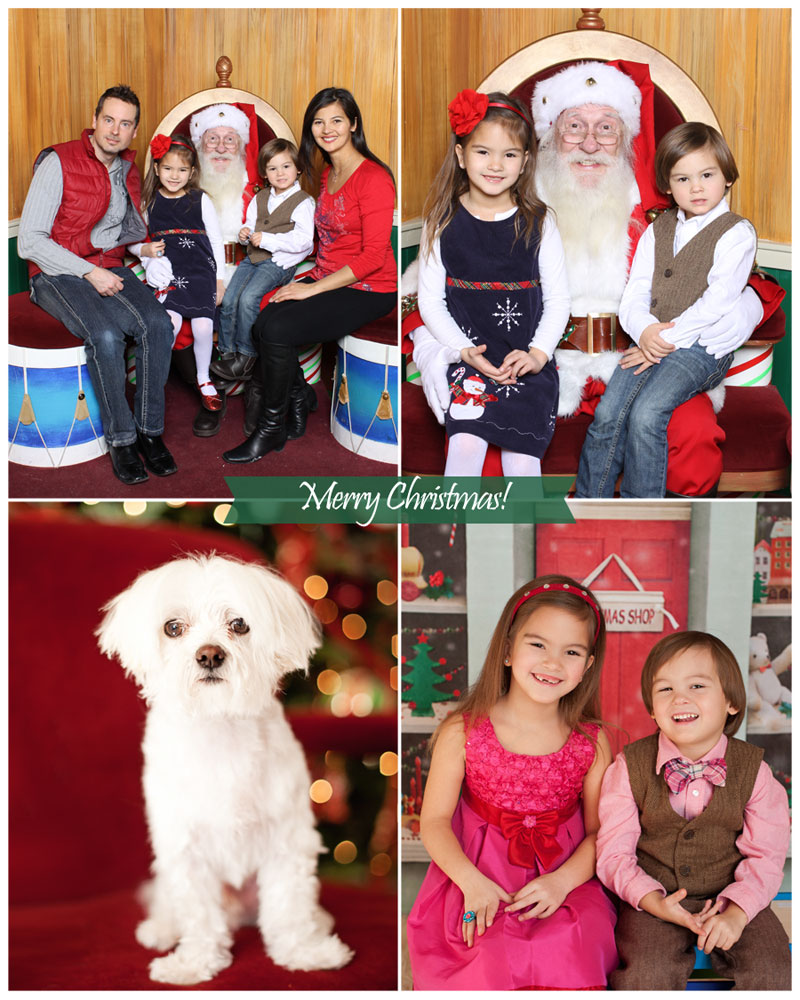 Merry-Christmas-2013-Collage1-for-Web